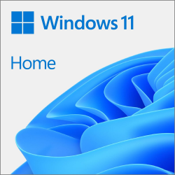 Windows 11 Home 64-bit OEM DVD